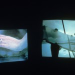 Joan Jonas | Performance Is Always A Living Matter
