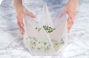 Tomorrow Machine, New Gestures of Edible Packaging