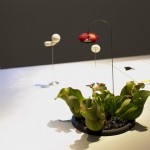 BIO 50: Design Biennial in Ljubljana
