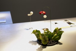 BIO 50: Design Biennial in Ljubljana
