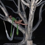 Vivianne Sassen at the Photographer's Gallery