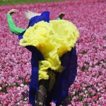 Vivianne Sassen at the Photographer's Gallery
