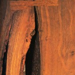 George Nakashima: The Soul of Design