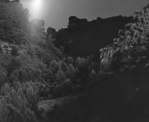 Through the Lens of Awoiska van der Molen