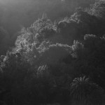 Through the Lens of Awoiska van der Molen