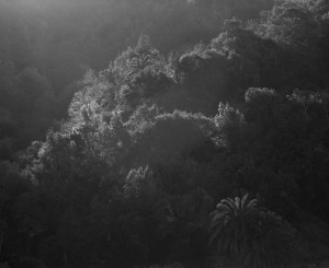 Through the Lens of Awoiska van der Molen