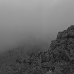 Through the Lens of Awoiska van der Molen