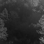Through the Lens of Awoiska van der Molen