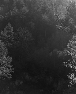 Through the Lens of Awoiska van der Molen
