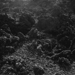 Through the Lens of Awoiska van der Molen