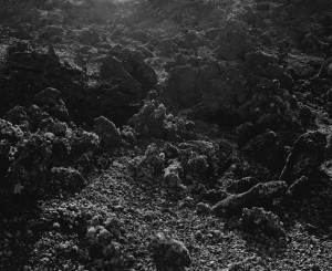 Through the Lens of Awoiska van der Molen