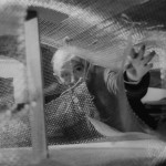 Frederick Kiesler: Visions at Work