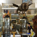 Daily Tips: Collecting Obsessions