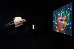 Daily Tips: Hearing and Seeing Björk at the MoMA