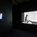 Daily Tips: Hearing and Seeing Björk at the MoMA