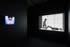 Daily Tips: Hearing and Seeing Björk at the MoMA