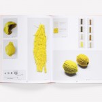 Scholten & Baijings: Reproducing the Shape of Thought