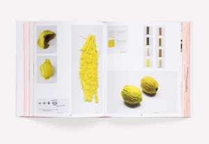 Scholten & Baijings: Reproducing the Shape of Thought