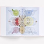 Scholten & Baijings: Reproducing the Shape of Thought