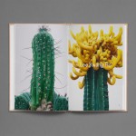 In the Books: Strange Plants