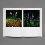 In the Books: Strange Plants