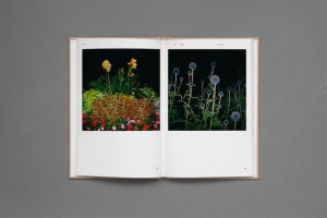 In the Books: Strange Plants