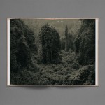 In the Books: Strange Plants