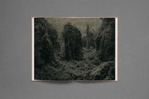 In the Books: Strange Plants