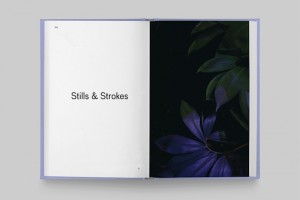 In the Books: Strange Plants II