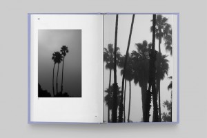 In the Books: Strange Plants II