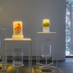 Earth matters: When Natural and Creative Forces Meet