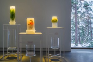 Earth matters: When Natural and Creative Forces Meet