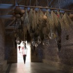 Boomerang: Pascale Marthine Tayou