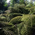 Down The Long Driveway, You'll See It