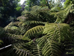 Down The Long Driveway, You'll See It