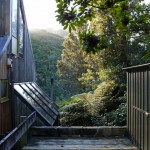 Down The Long Driveway, You'll See It