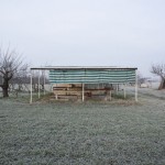 Through the Lens of Barbara Rossi