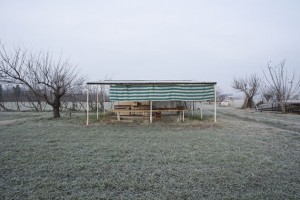 Through the Lens of Barbara Rossi