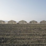 Through the Lens of Barbara Rossi