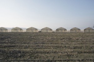 Through the Lens of Barbara Rossi