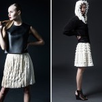 The New Scandinavian Maximalistic Minimalism