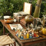 Frida Kahlo: Art, Garden, Life