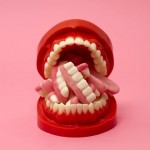 Through the Lens of Fresh Faced and Wild Eyed Talents