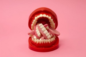 Through the Lens of Fresh Faced and Wild Eyed Talents