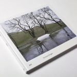 DIY - Skaters and Subculture in Richard Gilligan's Book