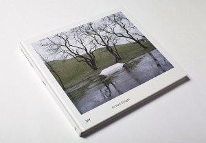 DIY - Skaters and Subculture in Richard Gilligan's Book