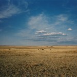 Wim Wenders: Written in the West