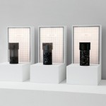 Marcin Rusak: Inflorescence and Other Artefacts