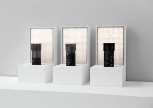 Marcin Rusak: Inflorescence and Other Artefacts