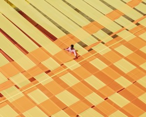 Through the Lens of Thomas Prior